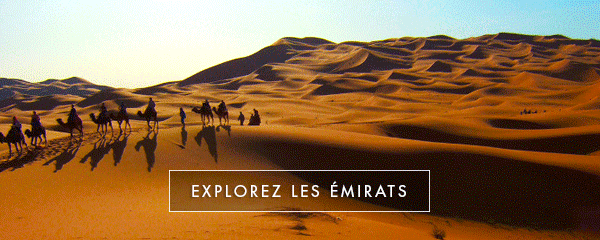 Excursions Emirats